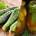 איך מכסים מלפפונים בקטשופ צ'ילי לחורף: 3 מתכונים שאין דומה