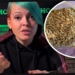 איך לבחור זבל ירוק ולהפתיע את השכנים בקציר: הגנן נתן