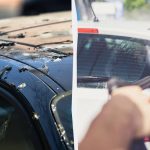 ציפורים כבר לא יזלזלו במכוניות: הנה מה שאתה צריך לעשות