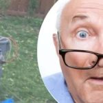 תגלית מוזרה ליד עץ הותירה את השכנה מבולבלת: איזה סוד