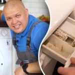 כיצד לנקות מכונת כביסה מעובש וריח: ייעוץ זול של מומחה