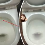 מוצר אחד ילבין את האסלה לברק: איך להתמודד עם רובד