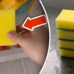 למה לשים ספוג במקפיא: טריק פשוט יחסל בעיה ענקית