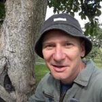 שקע הוא לא גזר דין מוות: דרך מוכחת להאריך את