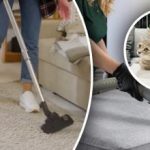 לא יישאר זכר: 7 שלבים להסרת ריח שתן מהשטיח