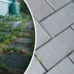 עשבים שוטים בחצר שלך ייעלמו בן לילה אם תרססו אותם