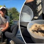 שיטה פשוטה מיושנת: גנן סיפר איך לשמור על טריות הגזר