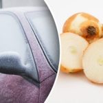 מדוע מכונית משופשפת בבצל – נהגים מנוסים גילו את הסוד