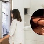 עליות מתח כבר לא מפחידות: איך להגן על המקרר שלך