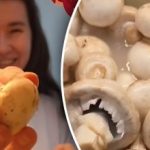 איך לשטוף הר של שמפיניון בשניות – טריק סופר