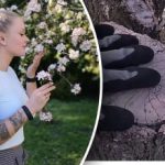 כיצד להאריך את חייו של עץ ישן: עצות מגננים מנוסים