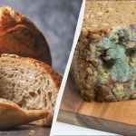 למה לחם הופך לעובש והאם אפשר לחתוך את העובש ולאכול