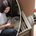 הסוללות יהפכו חמות יותר מיד: מהנדס שיתף סוד פשוט הסוללות יהפכו חמות יותר מיד: מהנדס שיתף סוד פשוט