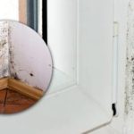 אתה יכול לשכוח מכימיה: תרופה טבעית פשוטה הורסת עובש באופן