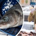 איך בוחרים דגים טריים בחנות: שלטים שרק המוכרים מבחינים בהם