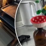 כיצד לנקות בקלות את הזכוכית הפנימית של תנור: תרופה ביתית