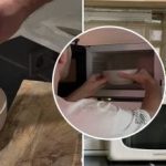 המיקרוגל יהפוך נקי תוך דקות ספורות: הבעלים הראה פריצת חיים