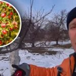 התחדשות של עצי פרי ותיקים: שלושה שלבים פשוטים שיחזירו את