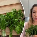 יהיה טרי עד שלושה שבועות: טריק חכם איך לאחסן ירקות במקרר יהיה טרי עד שלושה שבועות: טריק חכם איך לאחסן ירקות